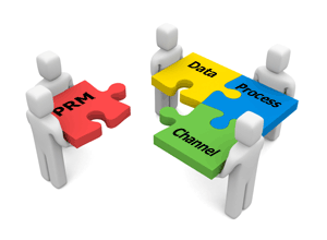 PRM software data process channel pieces of the puzzle